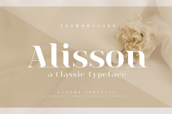 Alisson: The Timeless Serif for Your Most Meaningful Projects