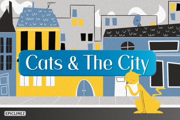 Cats and the City: A Handwritten Font for Authentic Design