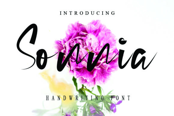 Why Sonnia is the Ultimate Handwritten Font for Modern Design Projects